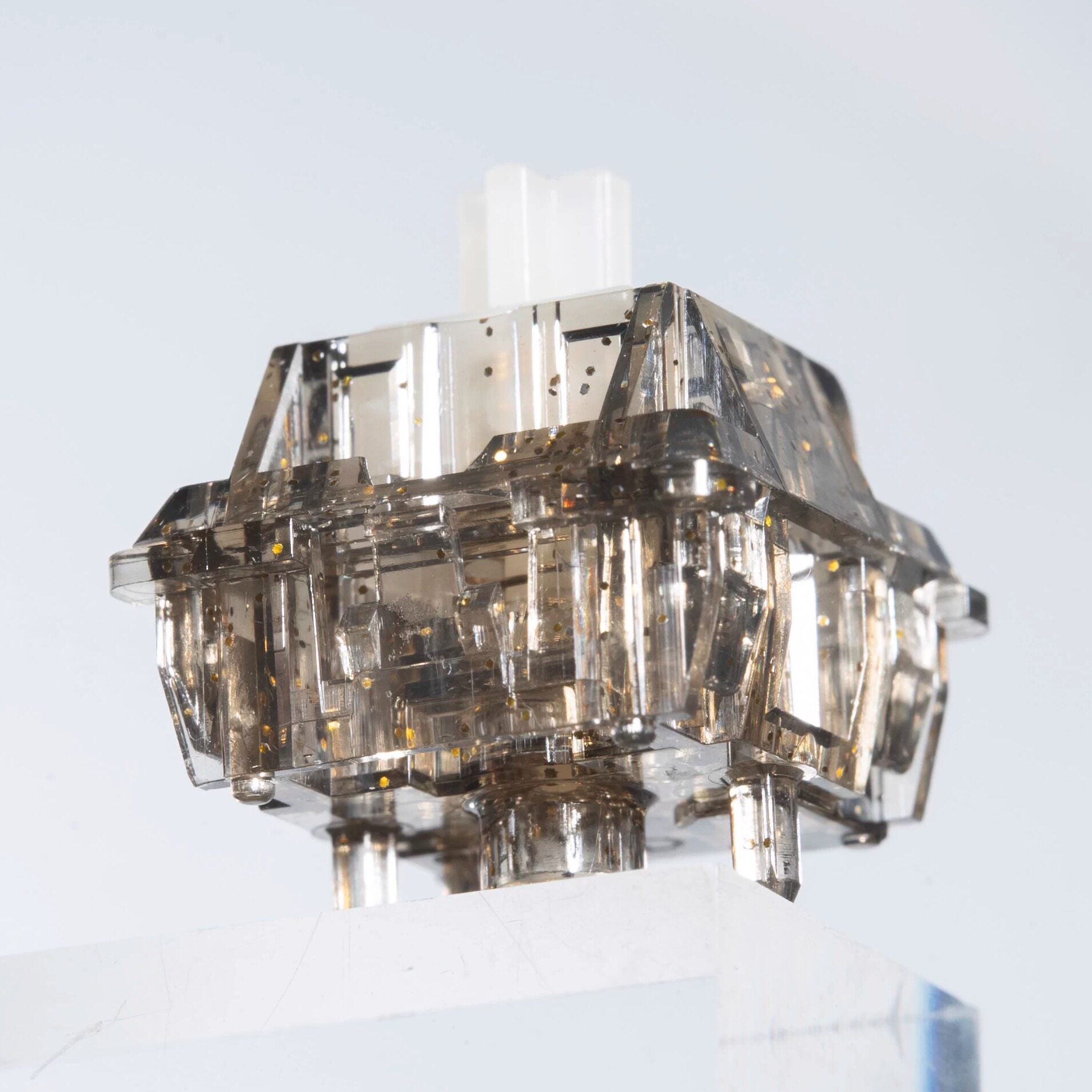 BK Gold-Tinted Switches (100-Pack)