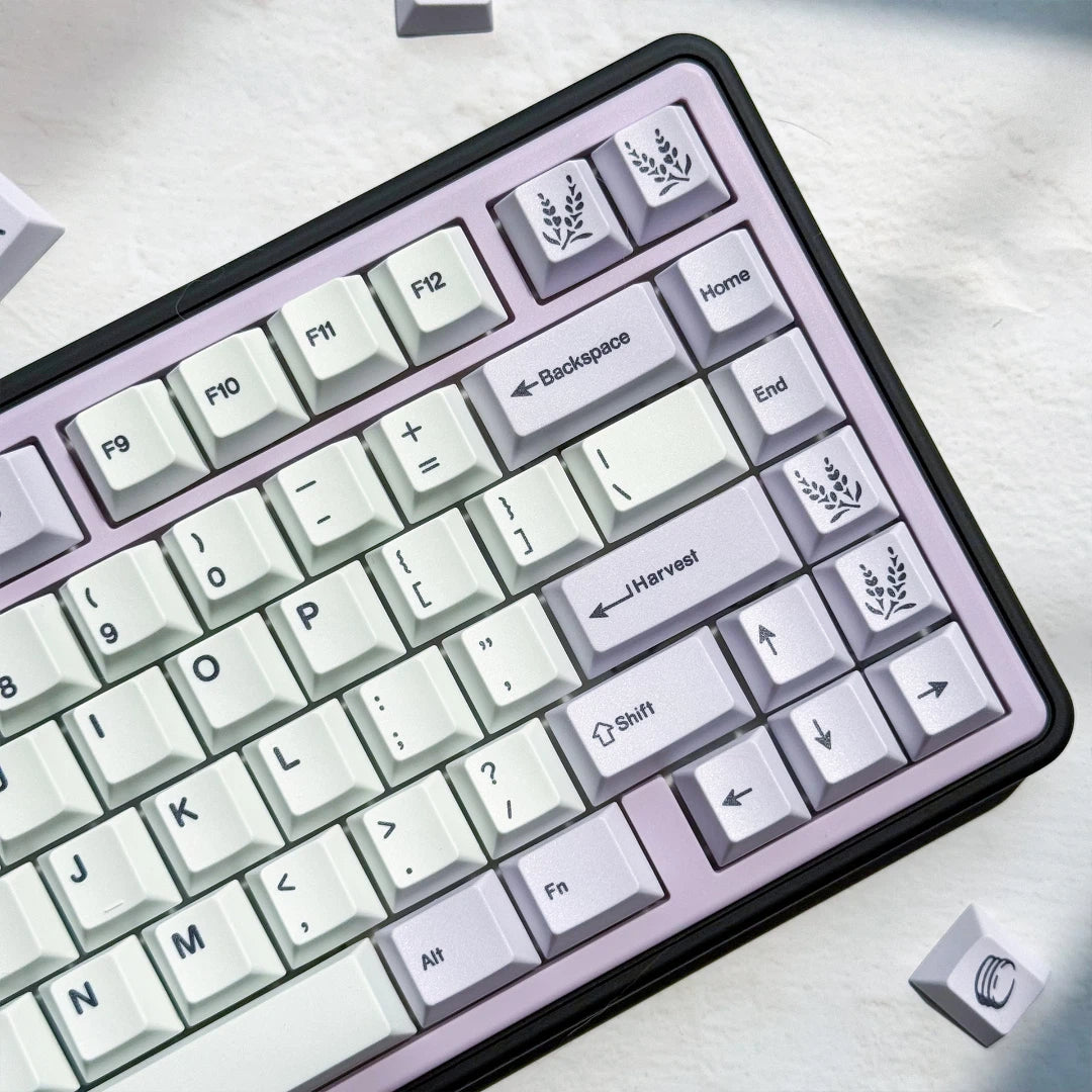Lavender