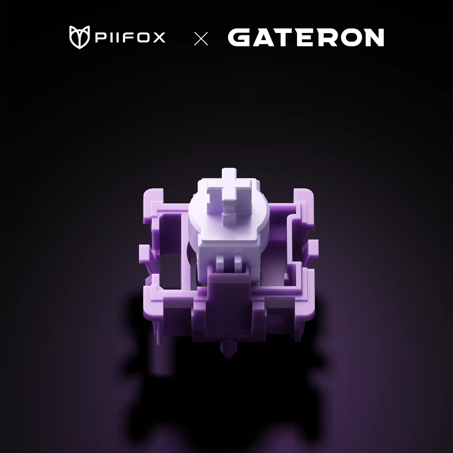 PIIFOX & Jialalong Collaboration Full POM Magnetic Switches