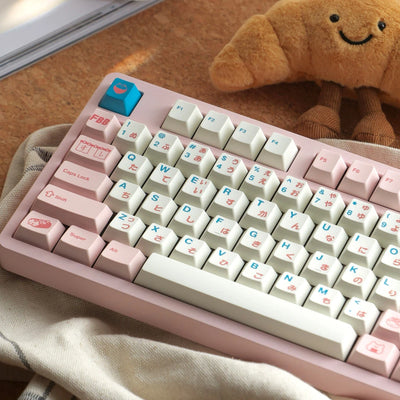 "Sushi" Japanese Sub-Legend Cherry Profile PBT Keycap Set (145 Keys)